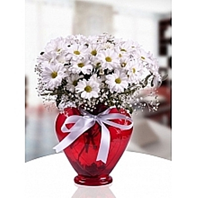 Vazoda papatya ve gl