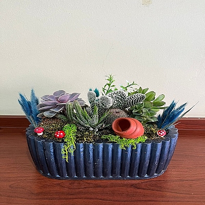 seramik saks�da teraryum