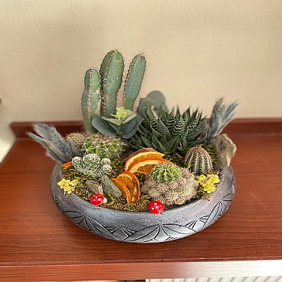 seramik saksda teraryum